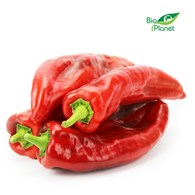 OPAKOWANIE ZBIORCZE (kg) - PAPRYKA DŁUGA ŚWIEŻA BIO (POLSKA) (około 5 kg)
