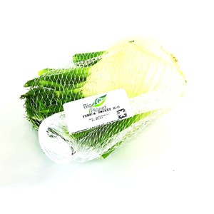 KOPER WŁOSKI ŚWIEŻY (FENKUŁ) BIO (POLSKA) (około 0,50 kg)