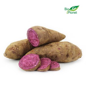 BATATY FIOLETOWE ŚWIEŻE BIO (około 1,00 kg)