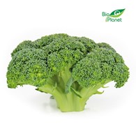 BROKUŁY ŚWIEŻE BIO (POLSKA) (około 0,40 kg)