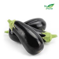 BAKŁAŻAN ŚWIEŻY BIO (POLSKA) (około 0,80 kg)