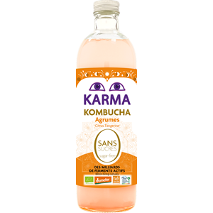 KOMBUCHA Z CYTRUSAMI BEZ CUKRU FAIR FOR LIFE DEMETER BIO 750 ml - KARMA KOMBUCHA