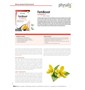 TABLETKI NA ENERGIĘ DLA KOBIET (FEMBOOST) 30 szt. - PHYSALIS (HERBALANCE)