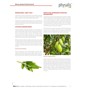 TABLETKI NA MENOPAUZĘ (FEMLIBRE) 30 szt. - PHYSALIS (HERBALANCE)