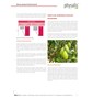 TABLETKI NA MENOPAUZĘ (FEMLIBRE FORTE) 30 szt. - PHYSALIS (HERBALANCE)