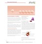 TABLETKI NA MENOPAUZĘ (FEMLIBRE FORTE) 30 szt. - PHYSALIS (HERBALANCE)
