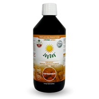KONCENTRAT NAPOJU PROBIOTYCZNEGO TOPINAMBUR BEZGLUTENOWY BIO 500 ml - JOY DAY