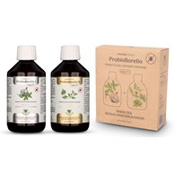 PROBIOTYCZNY EKSTRAKT ZIOŁOWY PROBIOBORELIO BEZGLUTENOWY BIO (2 x 300 ml) 600 ml - JOY DAY (ZIOŁA JĘDRZEJA)