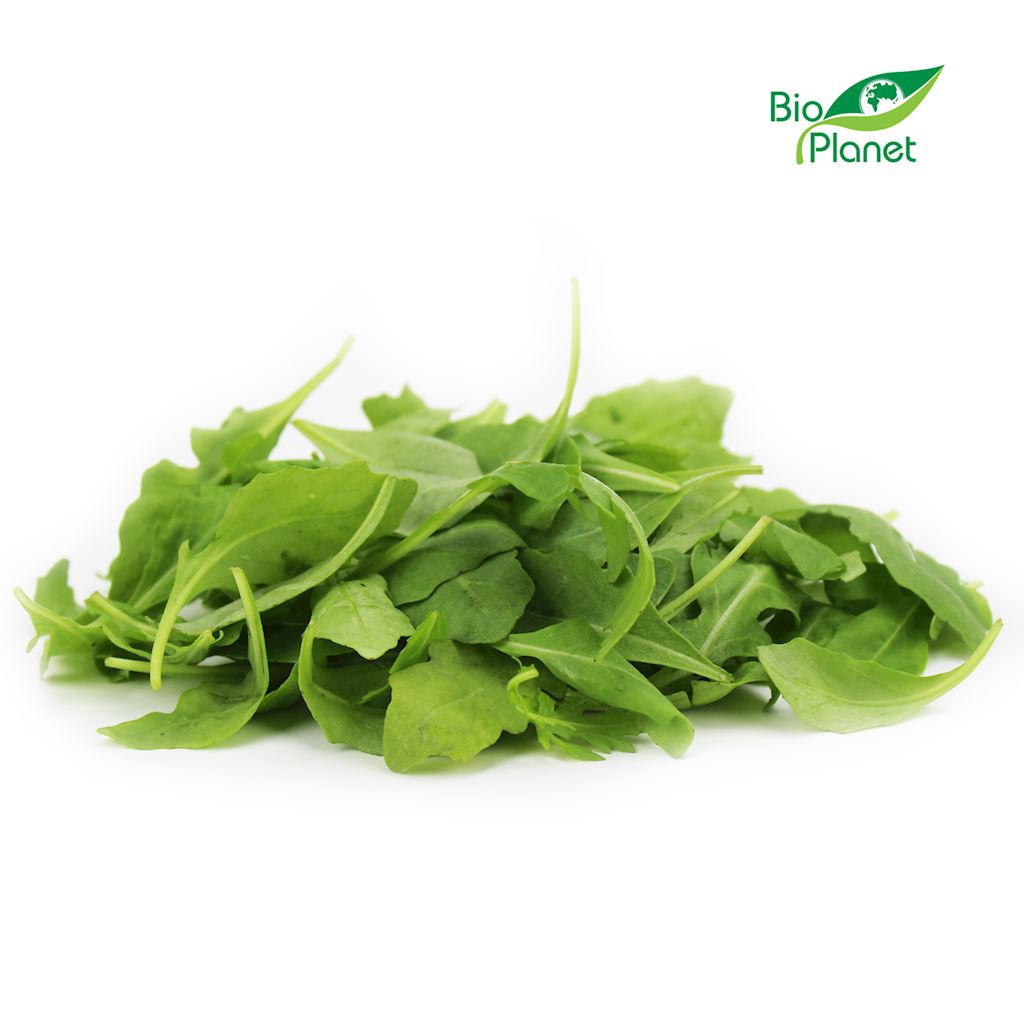 Rukola świeża niemyta bio (około 0,10 kg)