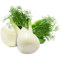 OPAKOWANIE ZBIORCZE (kg) - KOPER WŁOSKI ŚWIEŻY (FENKUŁ) BIO (POLSKA) (około 3 kg)