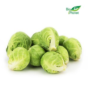OPAKOWANIE ZBIORCZE (kg) - BRUKSELKA ŚWIEŻA BIO (POLSKA) (około 5 kg)