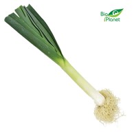 OPAKOWANIE ZBIORCZE (kg) - POR ŚWIEŻY BIO (około 10 kg)