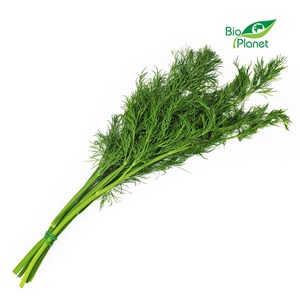 KOPEREK ŚWIEŻY BIO (PĘCZEK) (około 40 g)