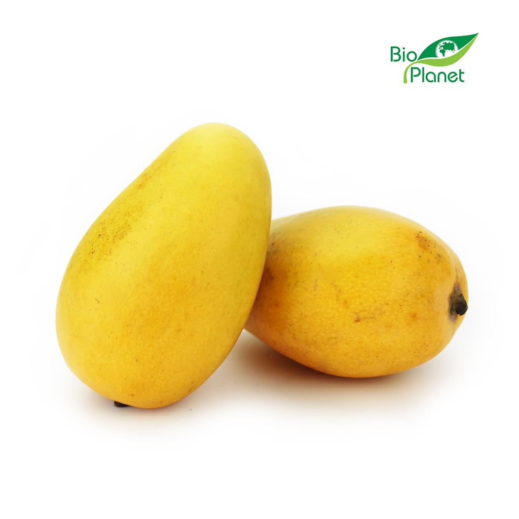 Mango ataulfo świeże bio