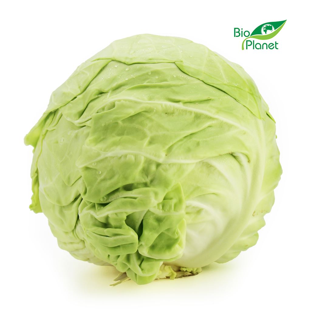 Kapusta młoda świeża bio