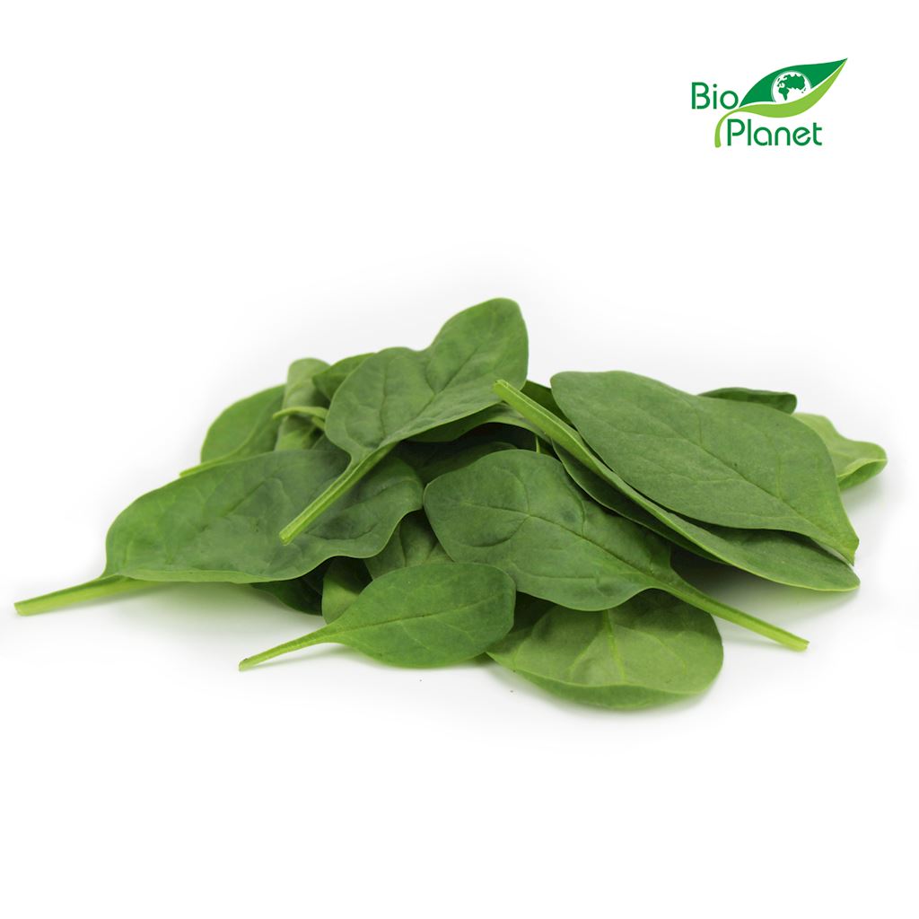 Szpinak baby świeży niemyty bio (około 0,10 kg)