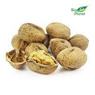 OPAKOWANIE ZBIORCZE (kg) - ORZECHY WŁOSKIE W ŁUPINIE BIO (POLSKA) (około 2 kg)