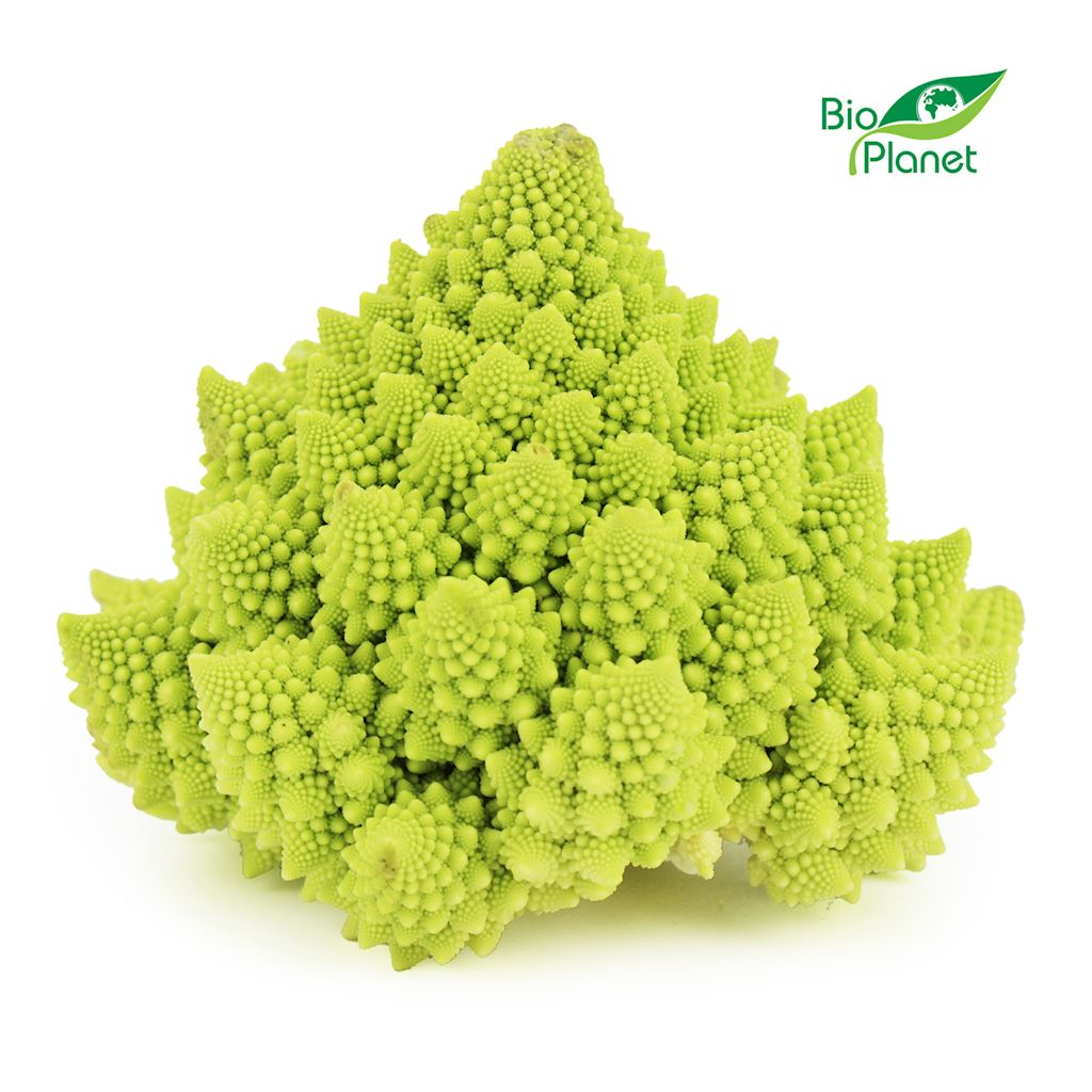 Kalafior romanesco świeży bio
