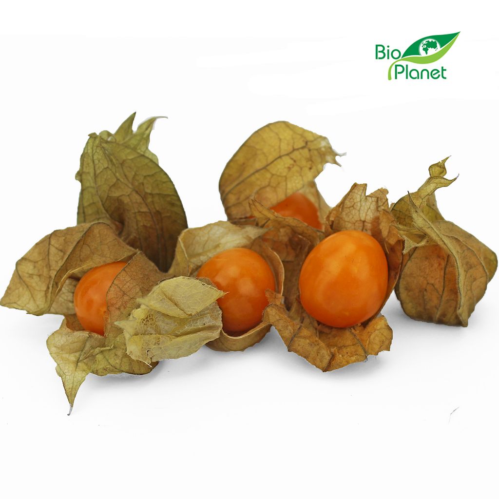 Miechunka świeża bio (około 0,10 kg)