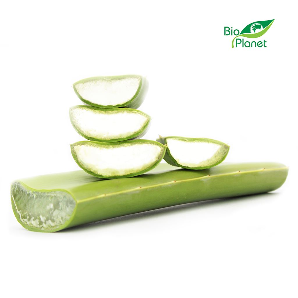 Aloes świeży bio