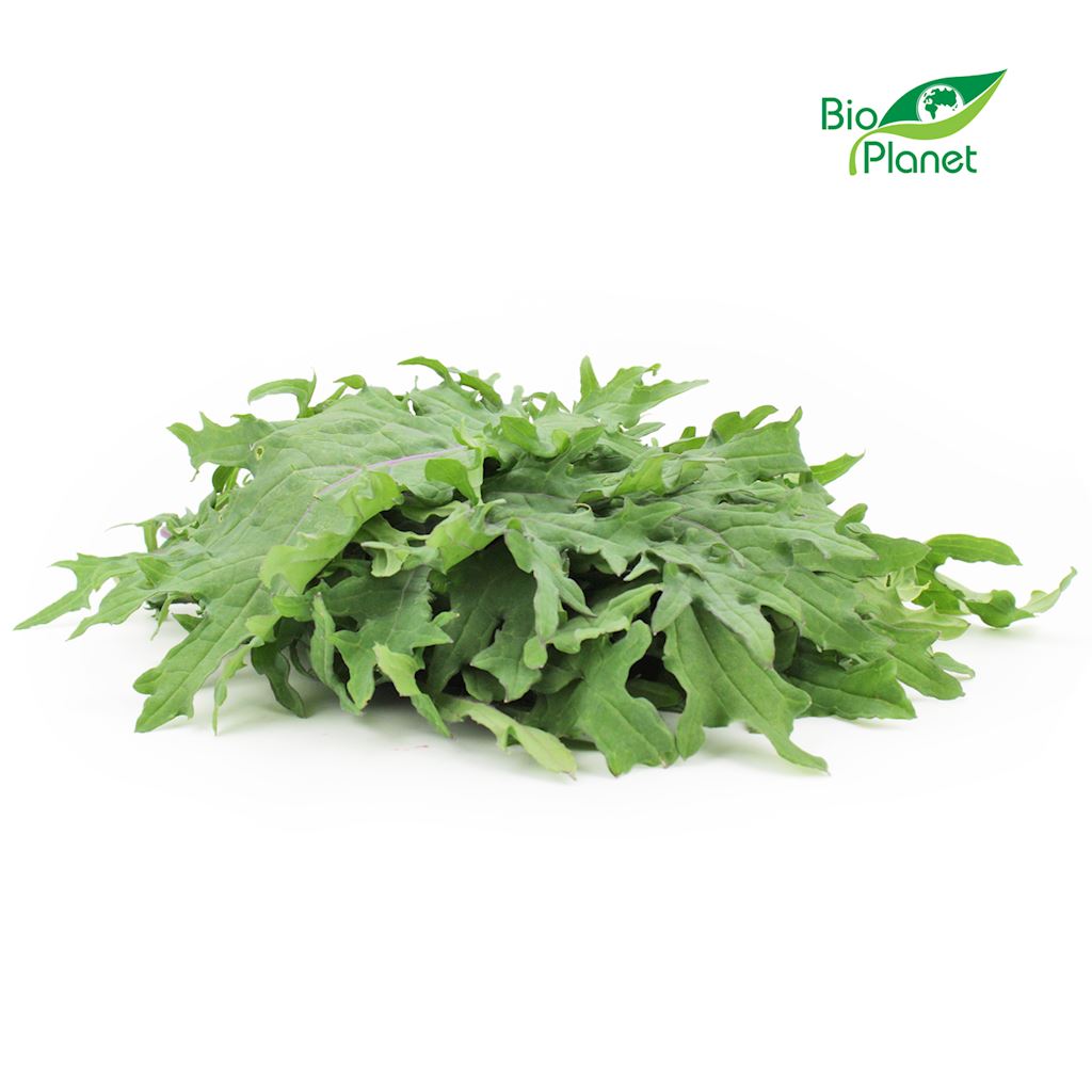 Jarmuż świeży niemyty bio (polska) (około 0,10 kg)