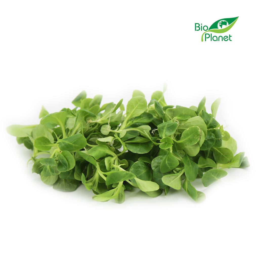 Roszponka świeża niemyta bio (około 0,10 kg)