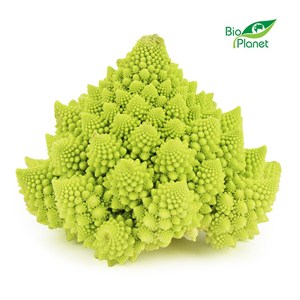 KALAFIOR ROMANESCO ŚWIEŻY BIO (POLSKA) (około 0,50 kg)
