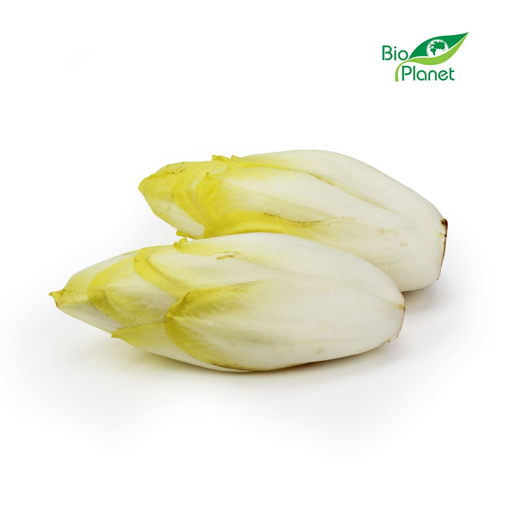 Cykoria świeża bio