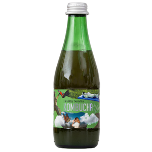 KOMBUCHA HEALTHY SENCHA BIO 330 ml - KOMBUCHA BY LAURENT