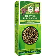 HERBATKA Z JEŻÓWKI PURPUROWEJ BIO 50 g - DARY NATURY