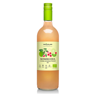 KOMBUCHA O SMAKU ŻURAWINY I LIMONKI BIO 750 ml - DELIKATNA