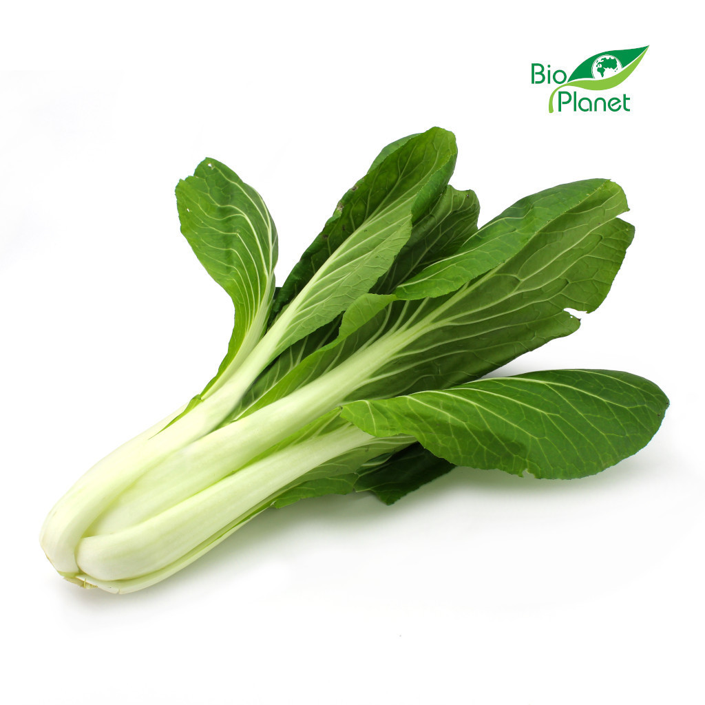 Kapusta pak choi świeża bio