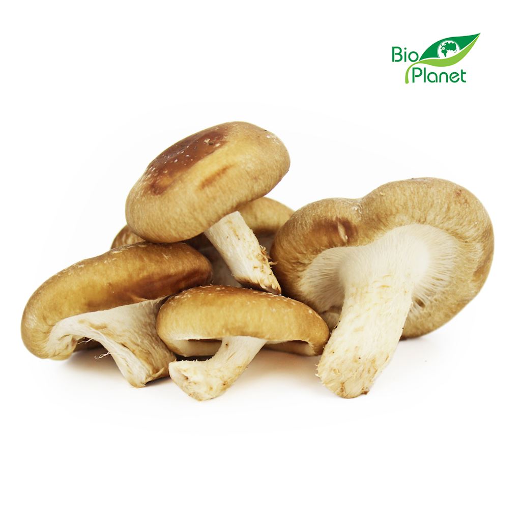 Grzyby shiitake świeże bio (polska) (około 0,20 kg)