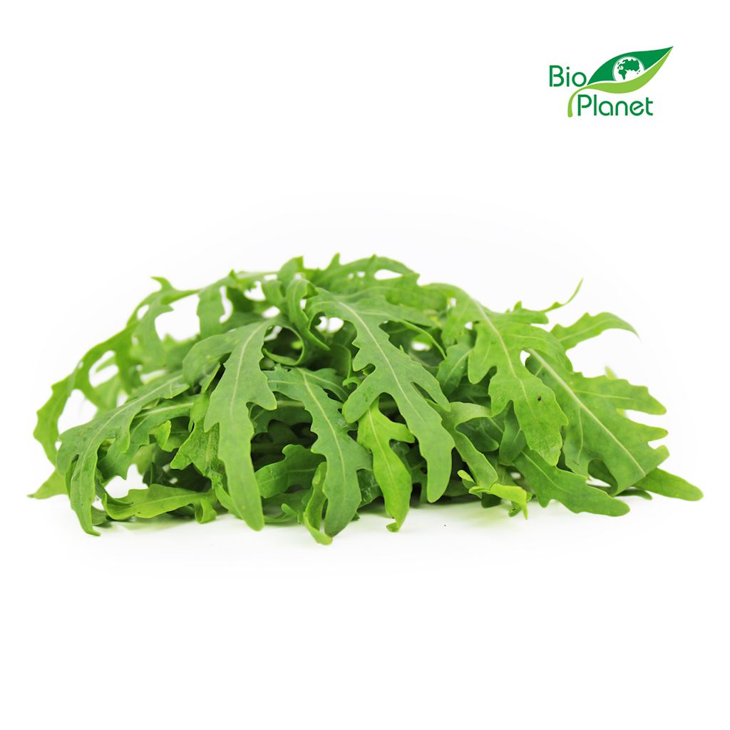 Rukola świeża niemyta bio (polska) (około 0,10 kg)
