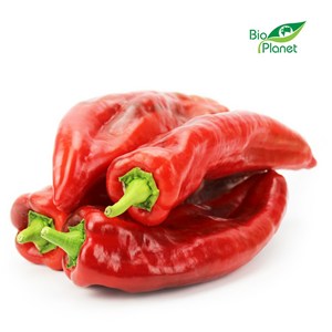 OPAKOWANIE ZBIORCZE (kg) - PAPRYKA DŁUGA ŚWIEŻA BIO (POLSKA) (około 5 kg)