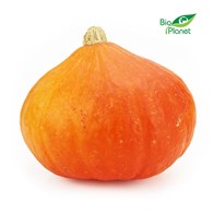 OPAKOWANIE ZBIORCZE (kg) - DYNIA HOKKAIDO ŚWIEŻA BIO (około 9 kg)